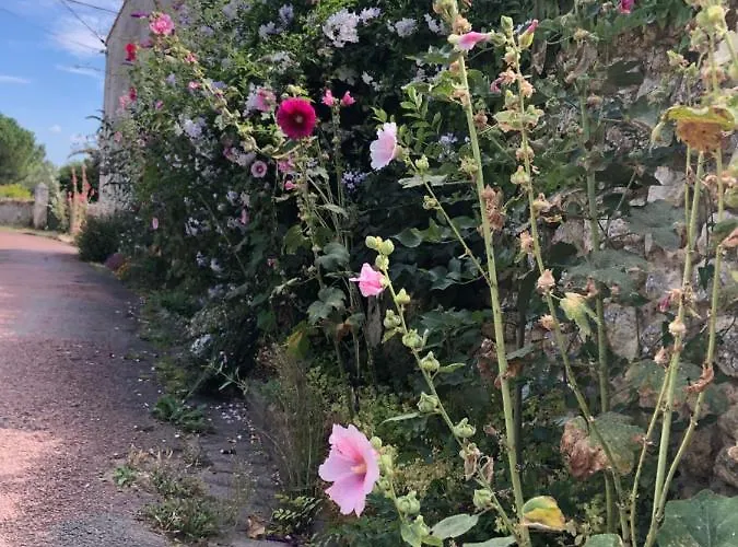 Apartment D'hotes Just Luzac Saint-Just-Luzac